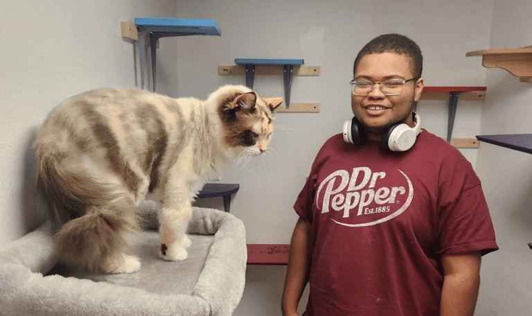 Volunteer Program_Peteys playground
