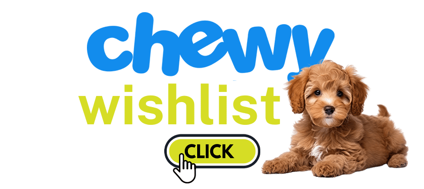 peteys chewy wishlist 3